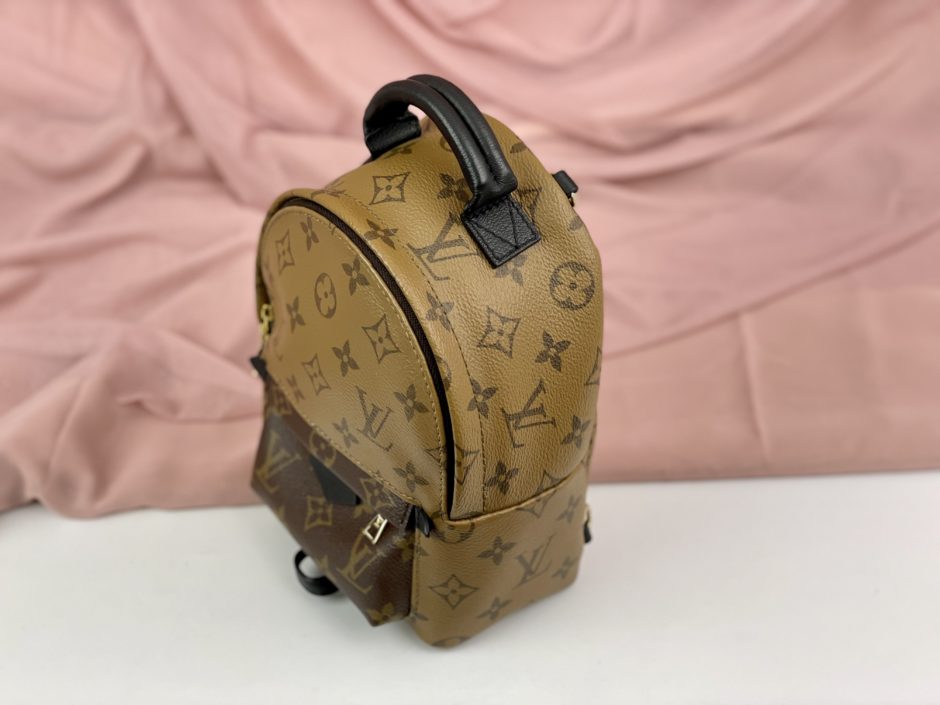 Louis Vuitton Palm Springs Mini Reverse – Brand Bag Girl